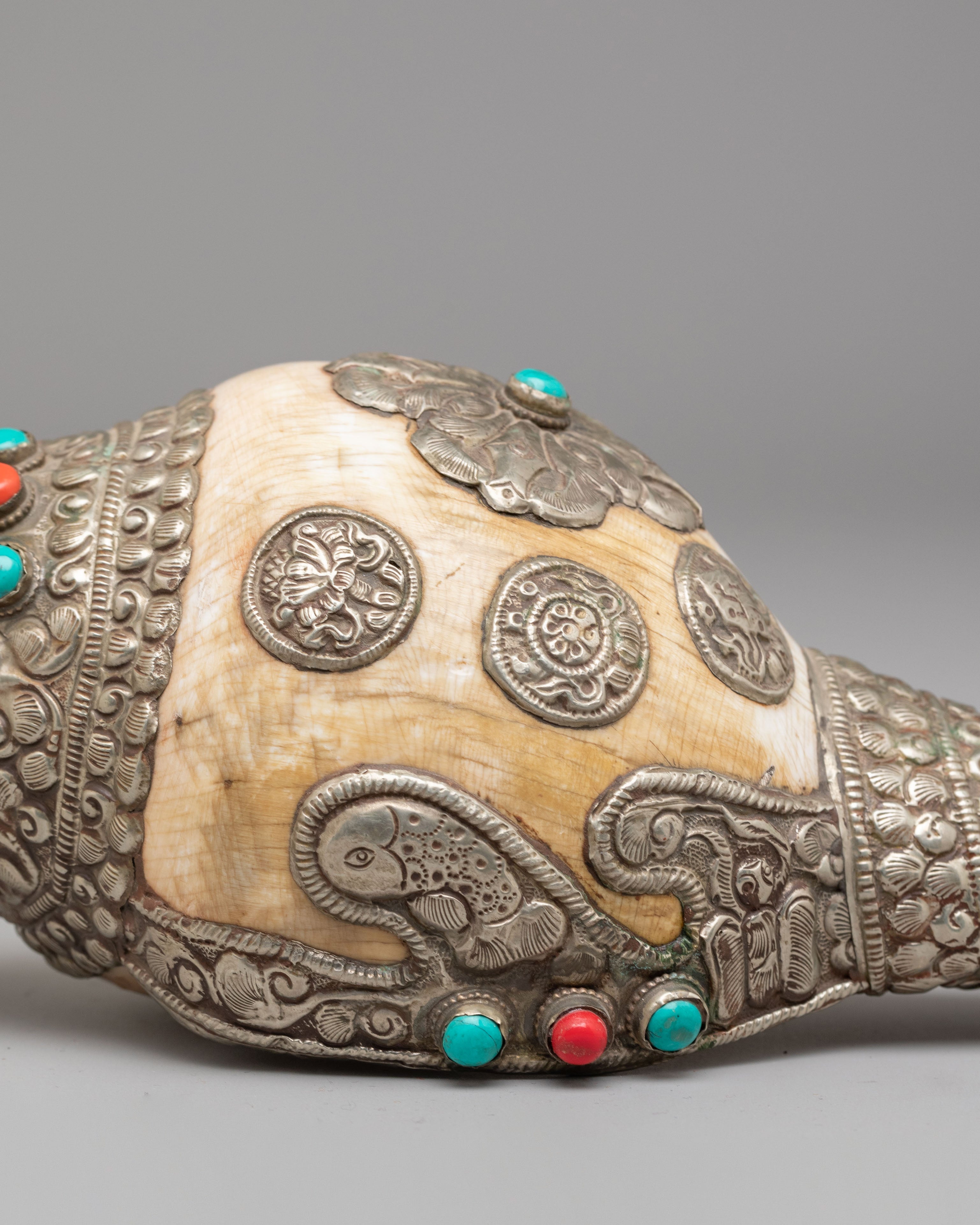 Sacred Dharma Conch Shell | Symbol of Spiritual Awakening