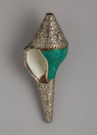 Turquoise Conch Shell | A Sacred Ritual Offering for Altar