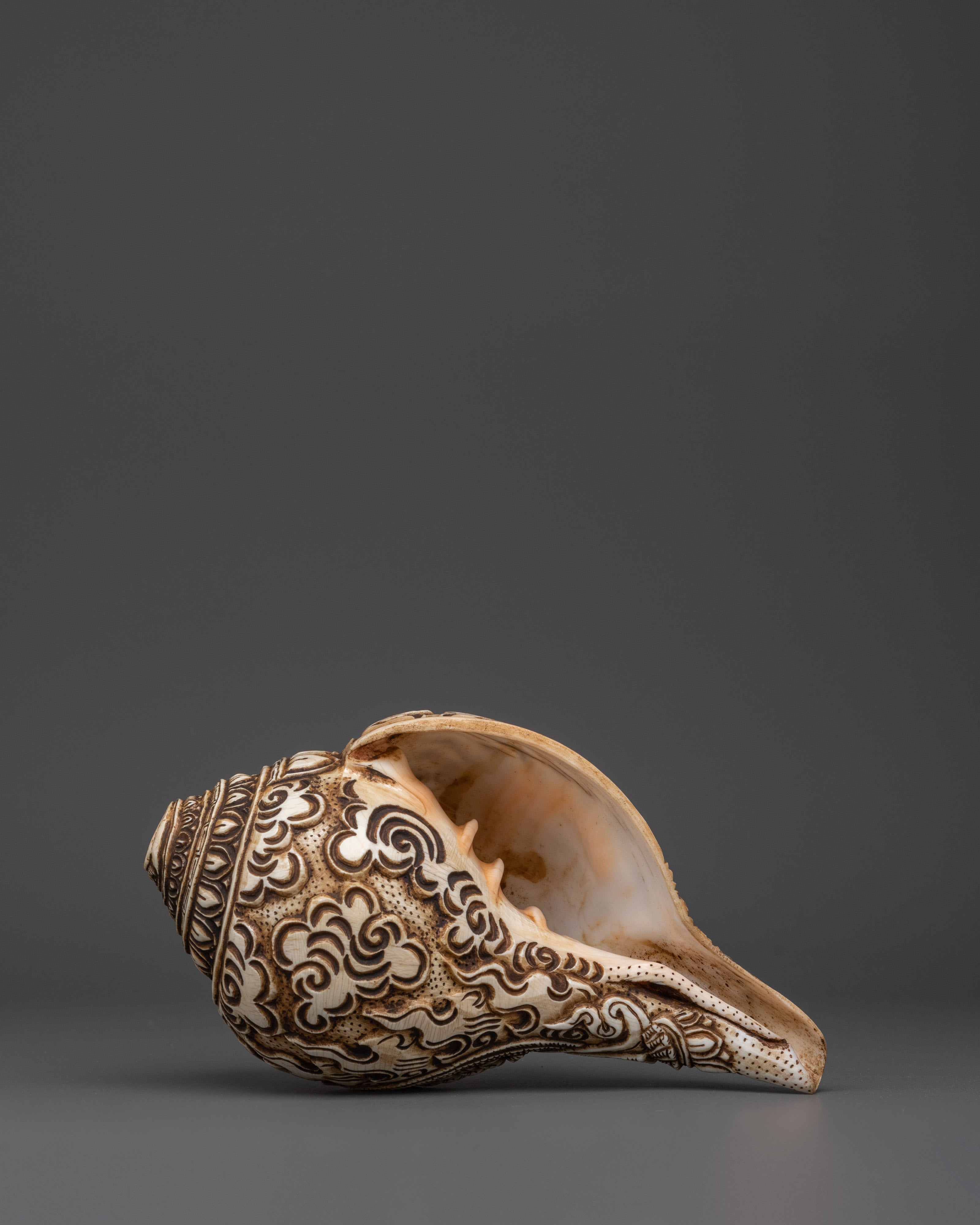 Conch for meditation | Meditation and Spiritual Practices