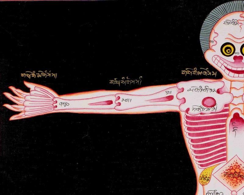 Human Skeleton Thangka Arts | Himalayan Ancient Medical Technique For Mind & Body