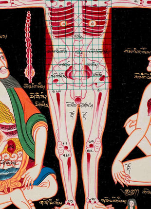 Human Anatomy Thangka | Anatomy Wall Arts | Wall Hanging For Biology | Thangka Painting | Antique Asian Arts | Tibetan Thangka Painting
