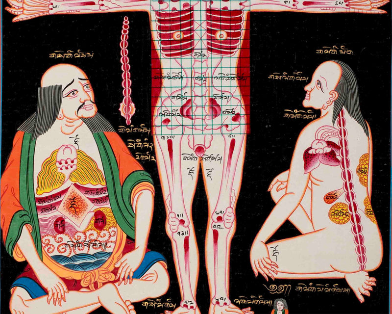 Human Anatomy Thangka | Anatomy Wall Arts | Wall Hanging For Biology | Thangka Painting | Antique Asian Arts | Tibetan Thangka Painting