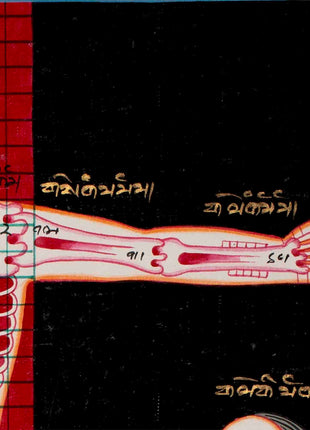 Human Anatomy Thangka | Anatomy Wall Arts | Wall Hanging For Biology | Thangka Painting | Antique Asian Arts | Tibetan Thangka Painting