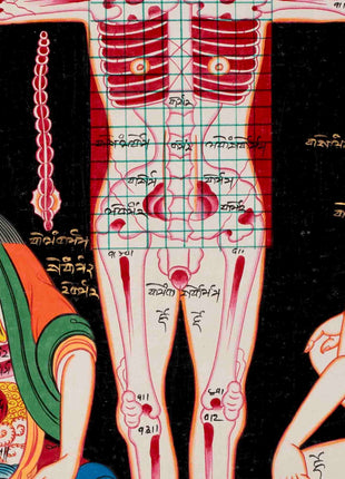 Human Anatomy Thangka | Anatomy Wall Arts | Wall Hanging For Biology | Thangka Painting | Antique Asian Arts | Tibetan Thangka Painting