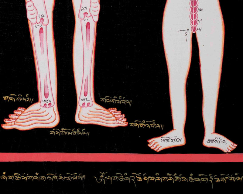 Human Skeleton Thangka Arts | Himalayan Ancient Medical Technique For Mind & Body