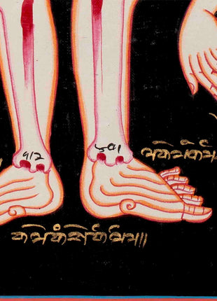 Human Anatomy Thangka | Anatomy Wall Arts | Wall Hanging For Biology | Thangka Painting | Antique Asian Arts | Tibetan Thangka Painting