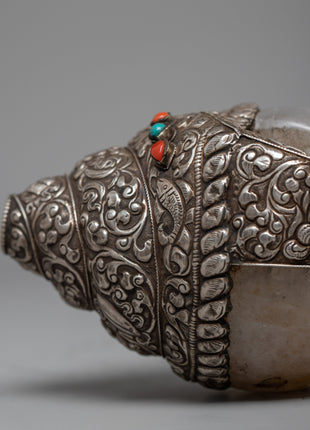 Right Handed Conch | Buddhist Crystal Conch