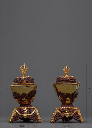 Gold Plated Kapala Skull Cup Set | Tibetan Ritual Offering for Ancient Practices | Buddhist Ceremonial Skull Cup