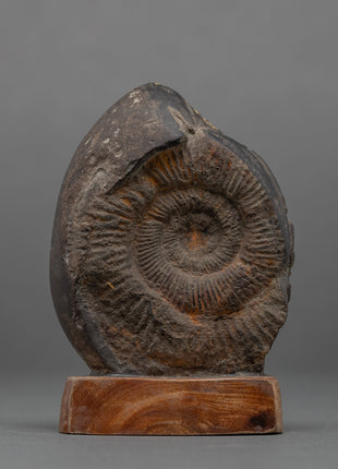 Dorje Phagmo | Religious Handcarved Statue | Ritual Artifacts