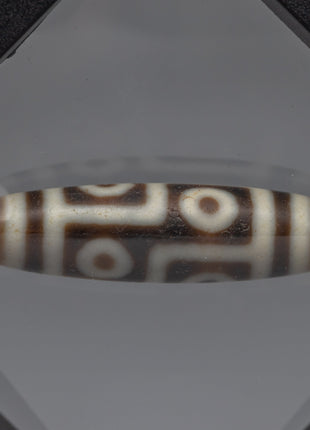 Display Tibetan Dzi Bead in Case | Buddhist Tibetan Dzi Bead
