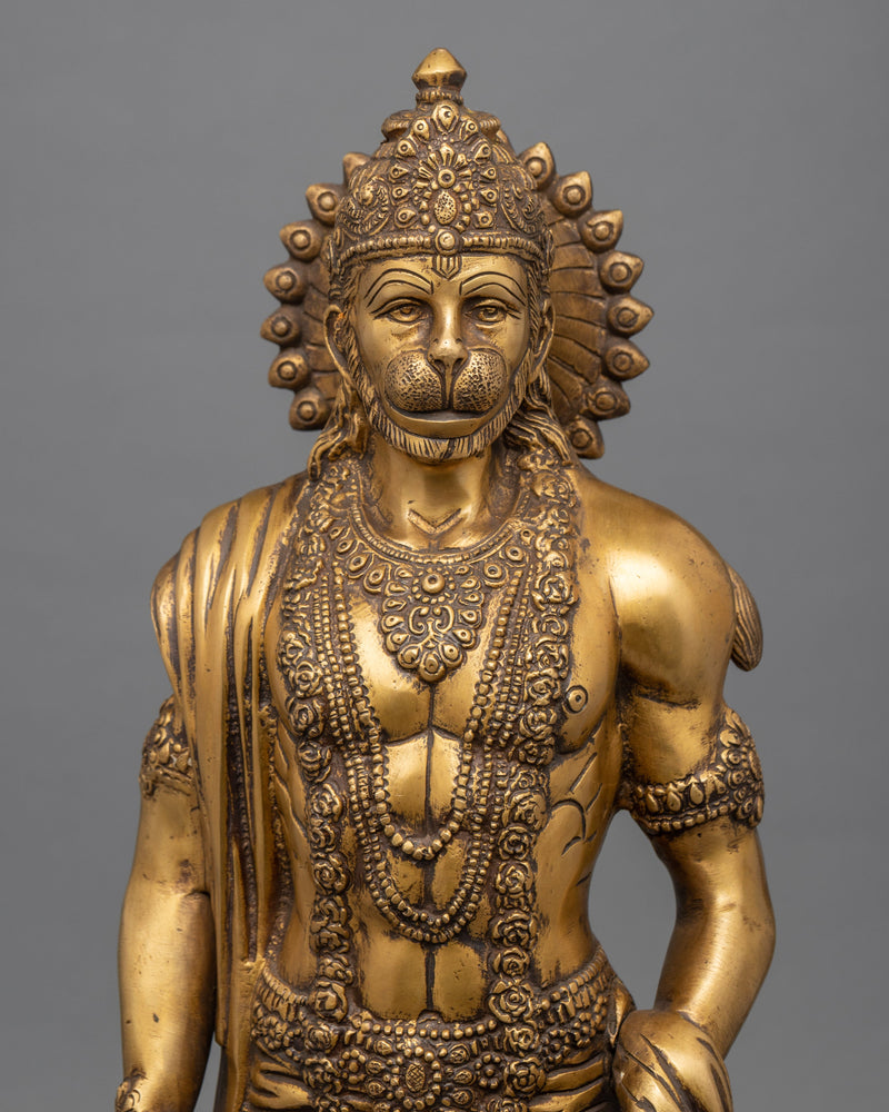 Lord Hanuman Statue | Hindu Deity