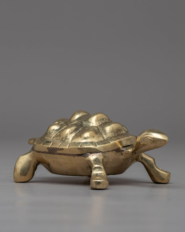 The Brass Turtle 