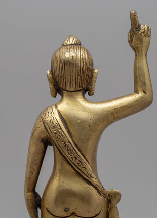 Gandhara Standing Buddha Statue | Brass Body Sculpture
