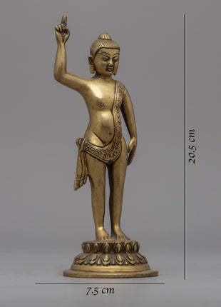 Gandhara Standing Buddha Statue | Brass Body Sculpture