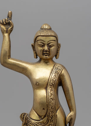 Gandhara Standing Buddha Statue | Brass Body Sculpture