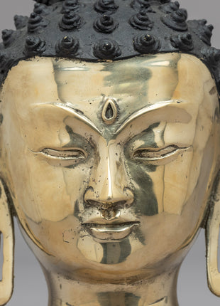 Buddhist Head of Buddha | Hand Carved Head for Meditation and Yoga