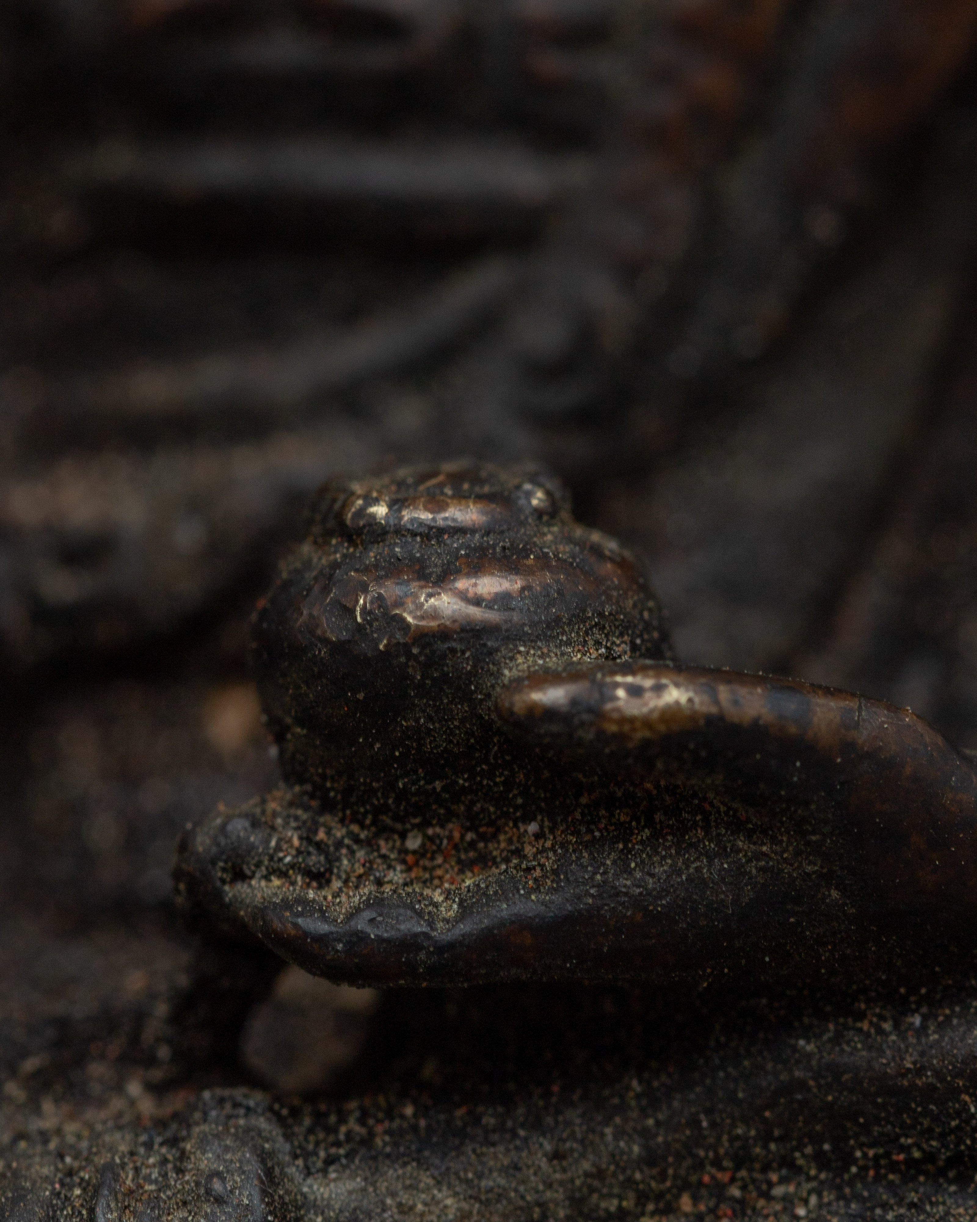 The Buddha Shakyamuni Statue |  Experience Enlightenment with the Buddha Statue