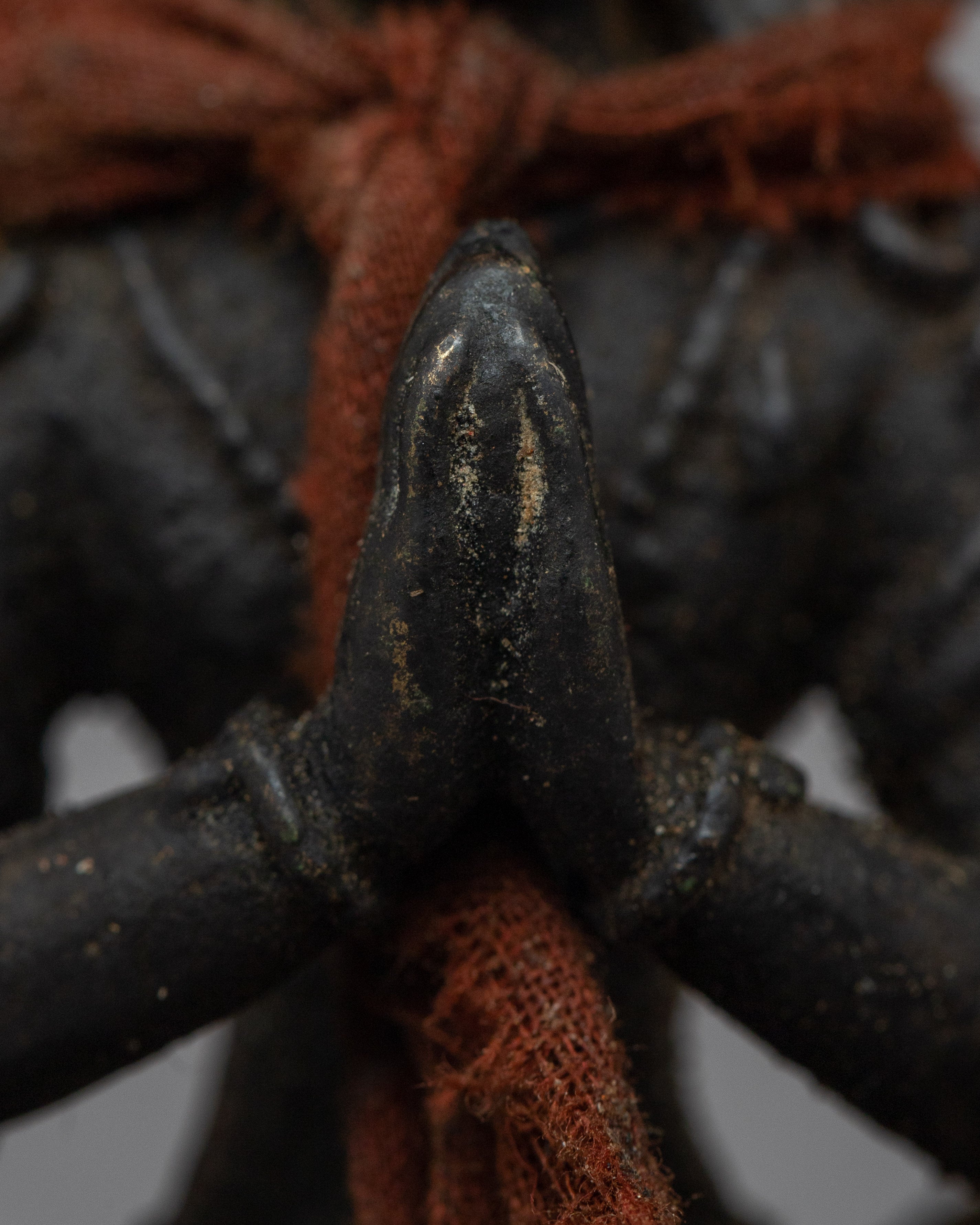 Divine 4-Armed Chenrezig Statue | Statue for Symbol of Compassion and Enlightenment