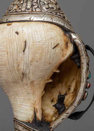 Concha Shell | Enhance Your Style with Sankha
