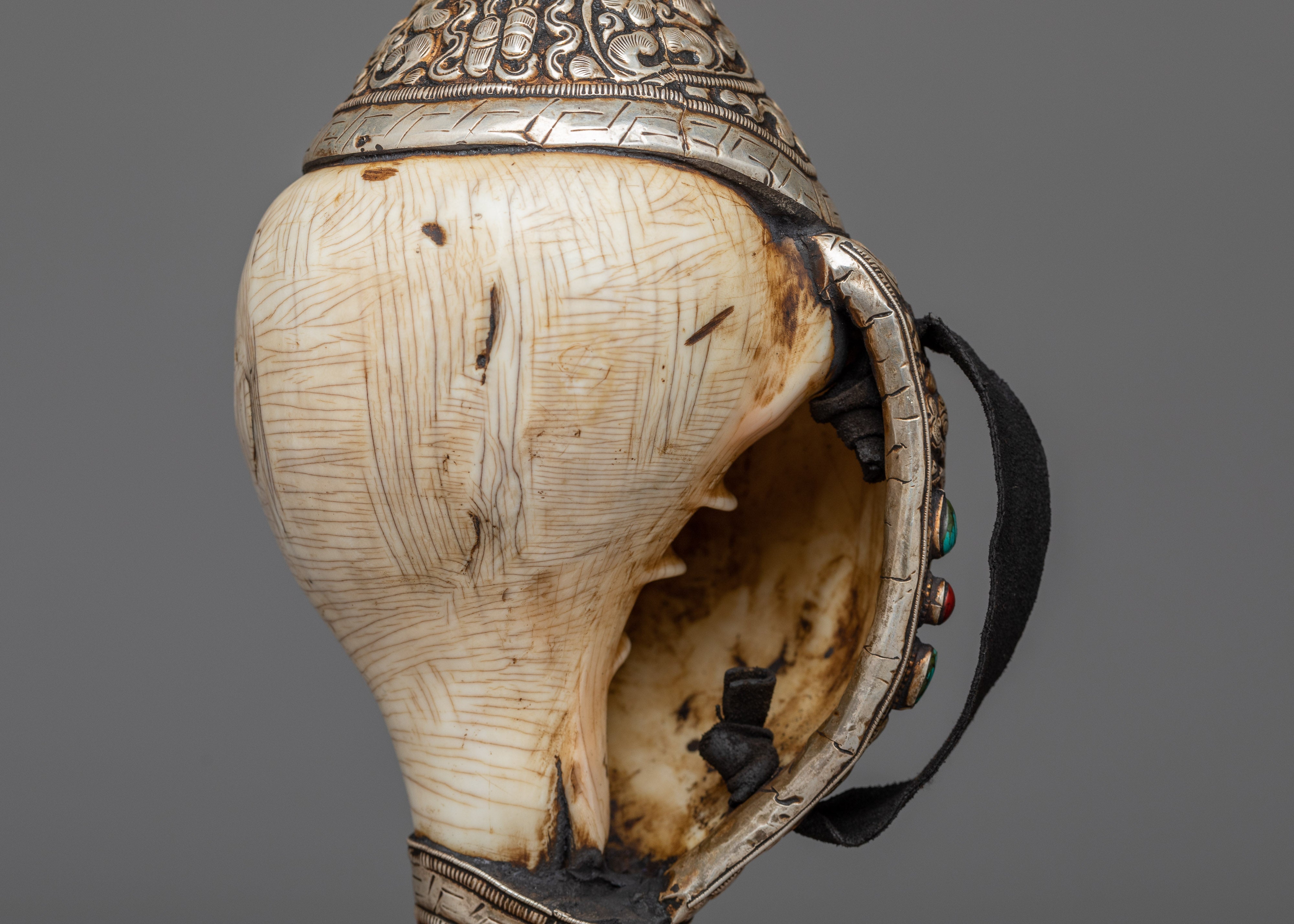 Concha Shell | Enhance Your Style with Sankha