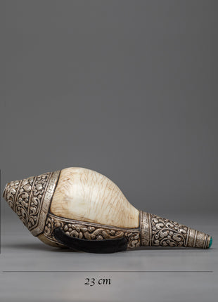 Concha Shell | Enhance Your Style with Sankha