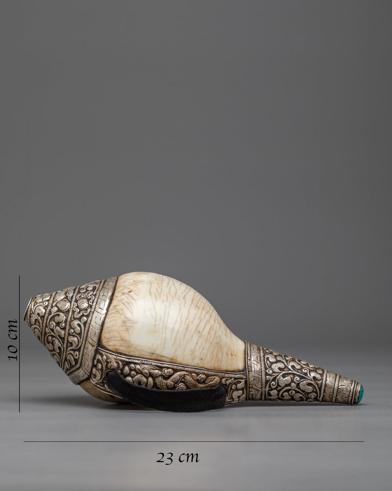 Concha Shell | Enhance Your Style with Sankha
