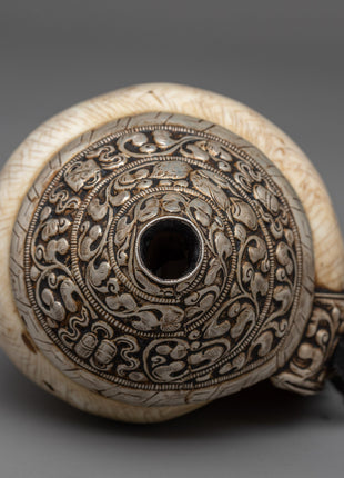 Concha Shell | Enhance Your Style with Sankha