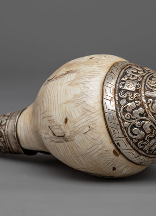 Concha Shell | Enhance Your Style with Sankha