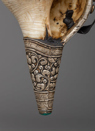 Concha Shell | Enhance Your Style with Sankha