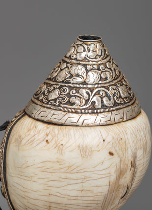 Concha Shell | Enhance Your Style with Sankha