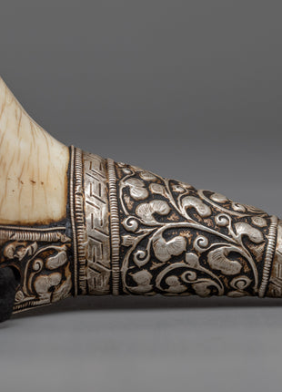 Concha Shell | Enhance Your Style with Sankha