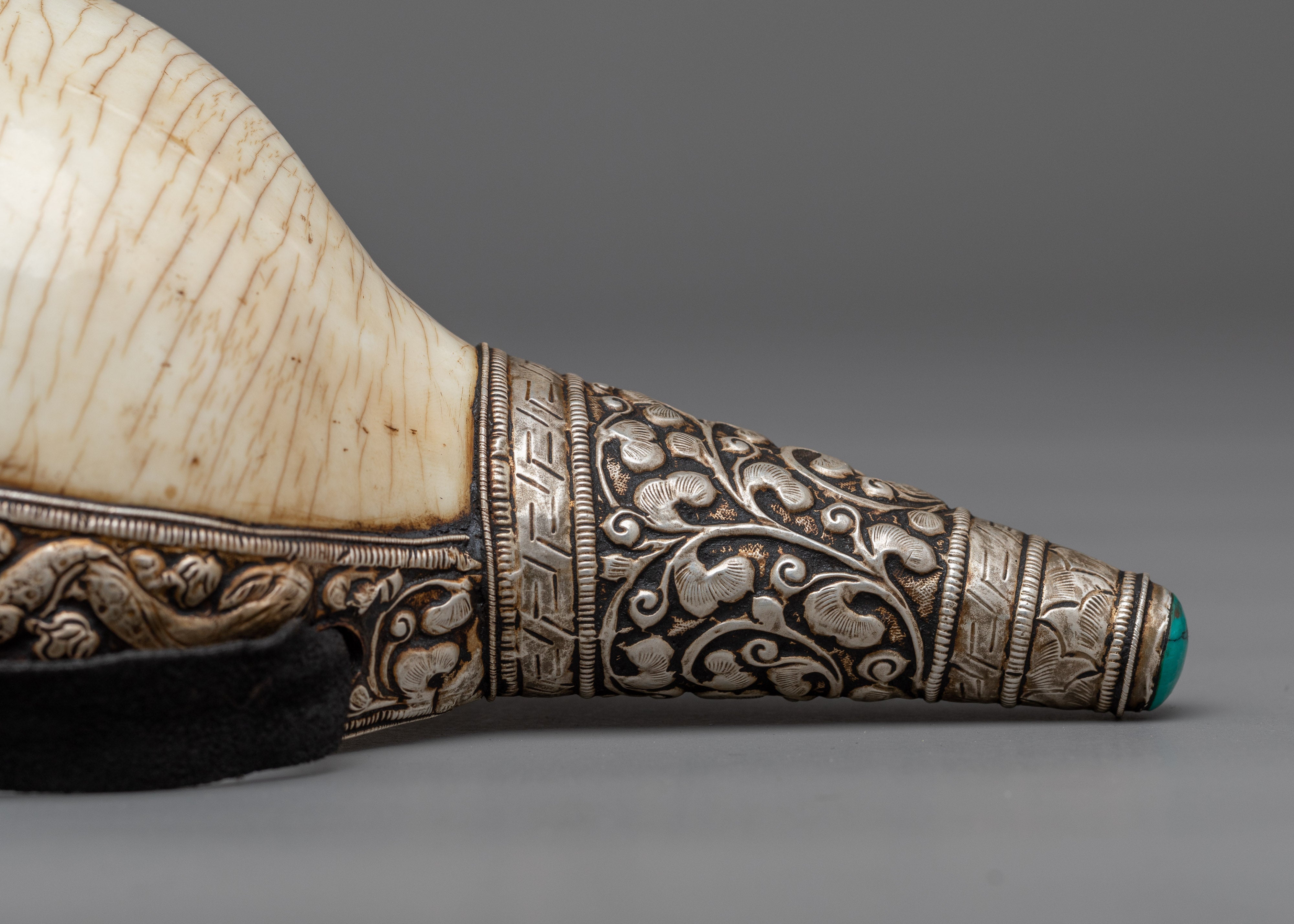 Concha Shell | Enhance Your Style with Sankha