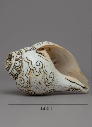 Handcraved Ritual Shankha | Sacred Conch Shell for Ceremonies