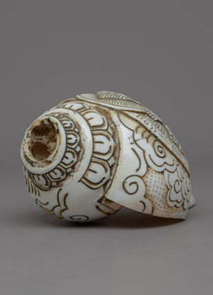 Handcraved Ritual Shankha | Sacred Conch Shell for Ceremonies