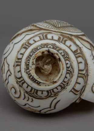 Handcraved Ritual Shankha | Sacred Conch Shell for Ceremonies
