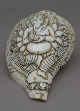 Handcraved Ritual Shankha | Sacred Conch Shell for Ceremonies