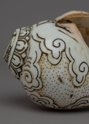 Handcraved Ritual Shankha | Sacred Conch Shell for Ceremonies