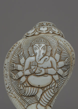 Handcraved Ritual Shankha | Sacred Conch Shell for Ceremonies