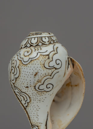 Handcraved Ritual Shankha | Sacred Conch Shell for Ceremonies