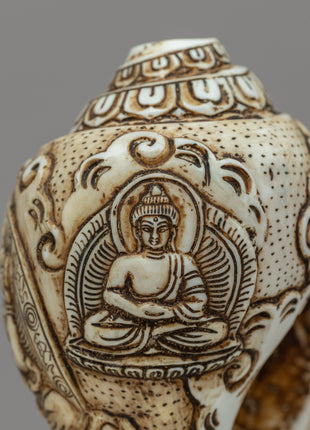 Blessed Buddha Sankha | Divine Sound & Spiritual Vibrations