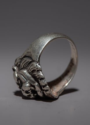 Silver Lion Ring | Adjustable Ring for Fashion Accessory