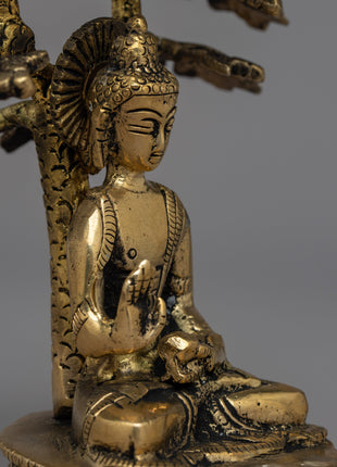 Amoghasiddhi Buddha Under the Bodhi Tree Statue