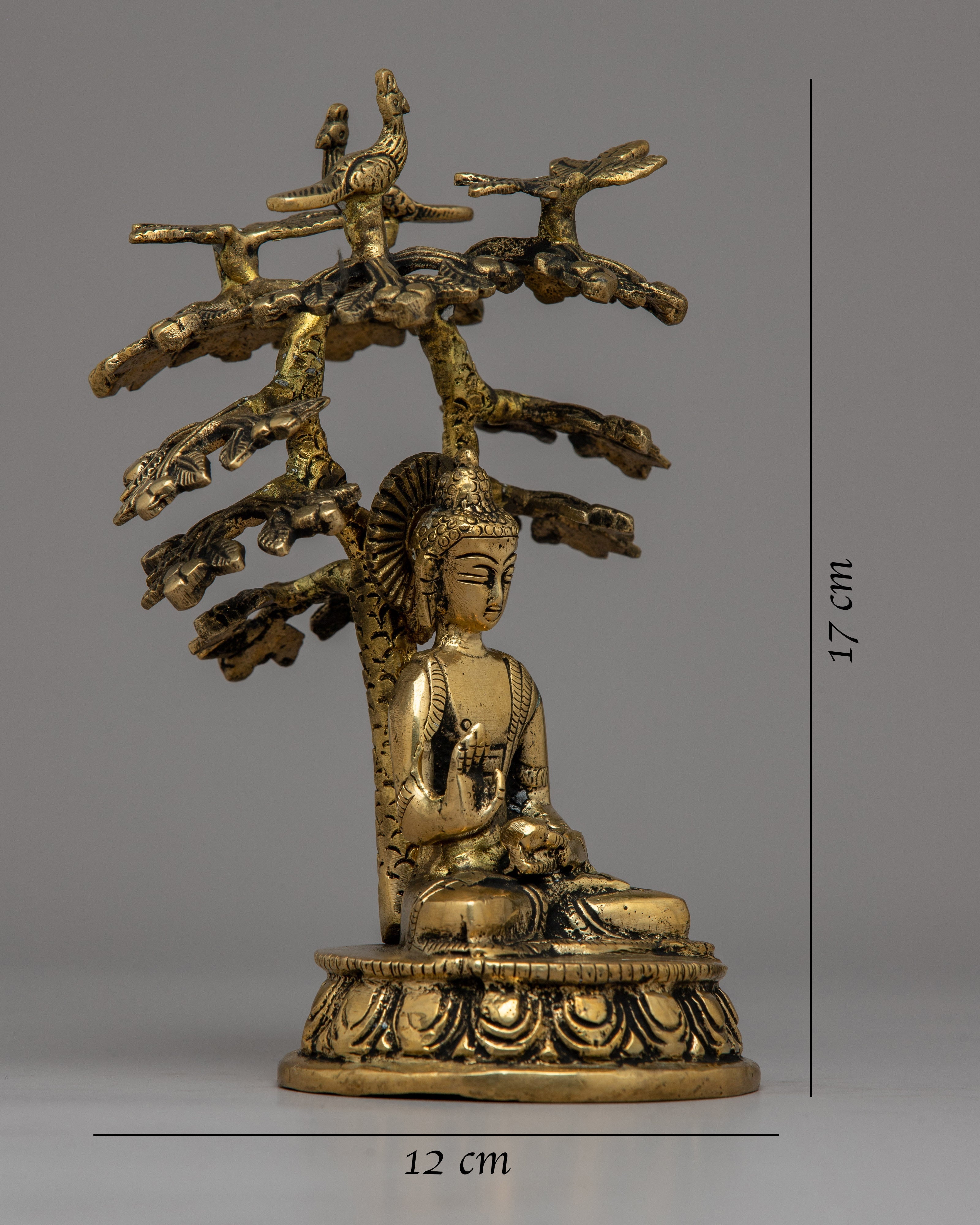 Amoghasiddhi Buddha Under the Bodhi Tree Statue