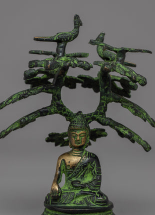 Statue of Shakyamuni Buddha | Founder of Buddhism, Enlightened One