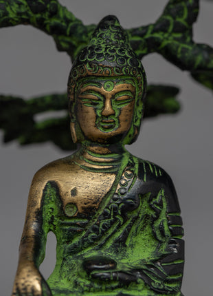 Statue of Shakyamuni Buddha | Founder of Buddhism, Enlightened One