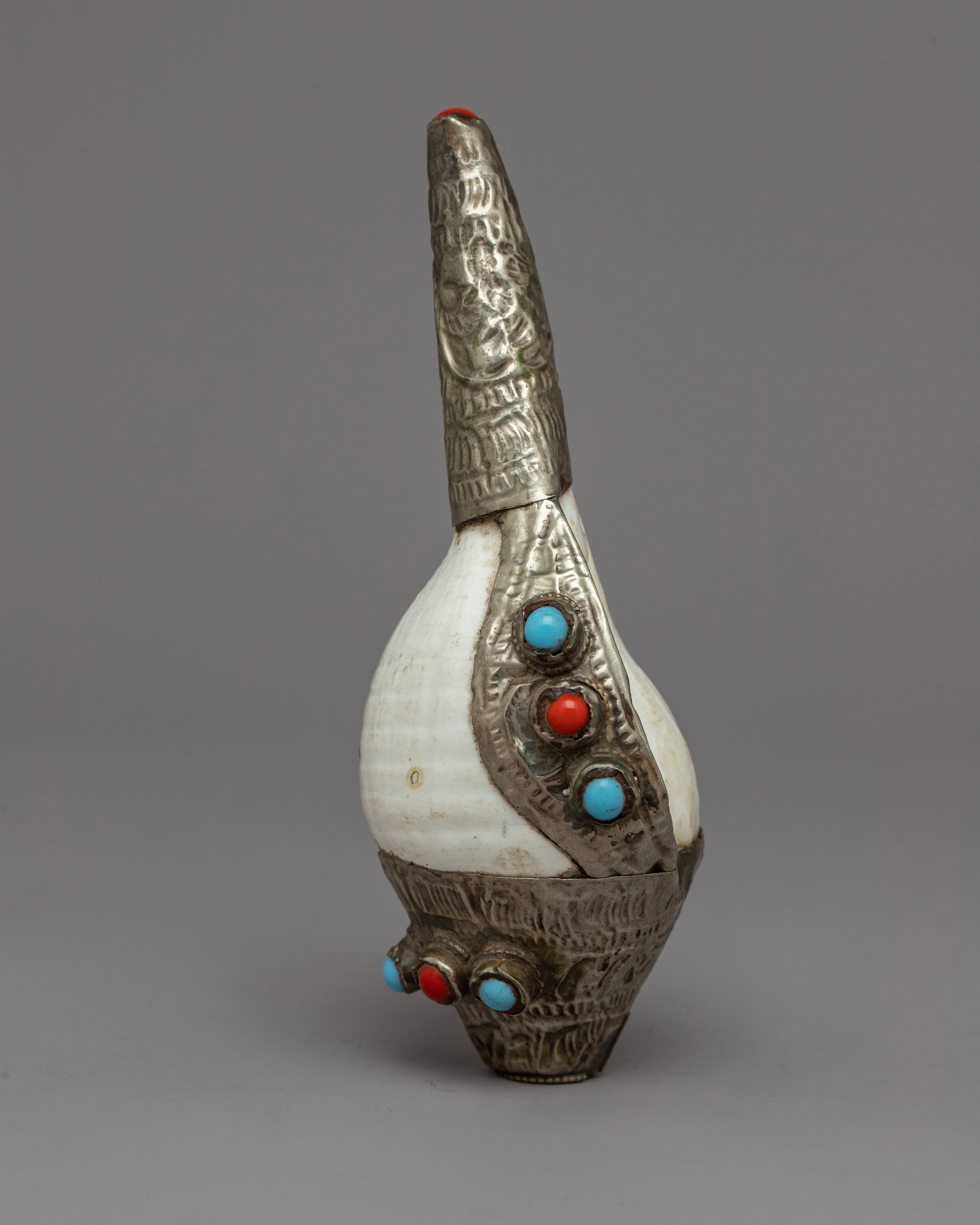 Natural Conch Sankha | Echoing the Sounds of Spirituality & Meditation