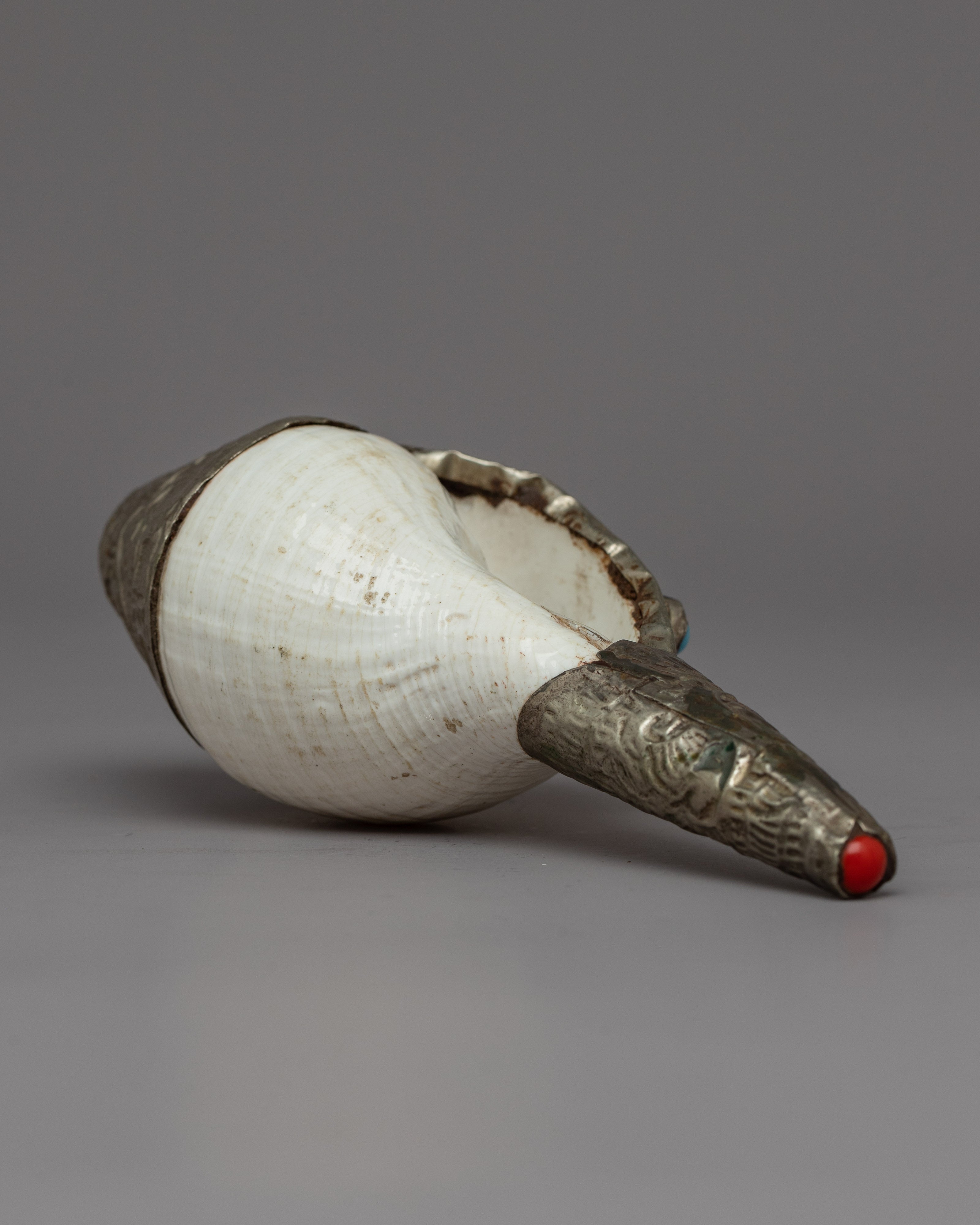 Natural Conch Sankha | Echoing the Sounds of Spirituality & Meditation
