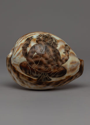 Sankha Conch Shell | Perfect for Puja, Meditation, and Altar Decor
