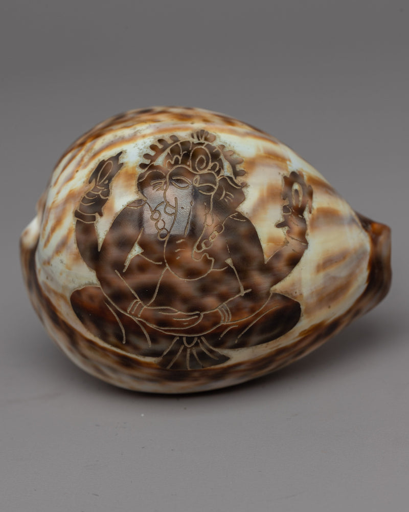 Sankha Conch Shell | Perfect for Puja, Meditation, and Altar Decor