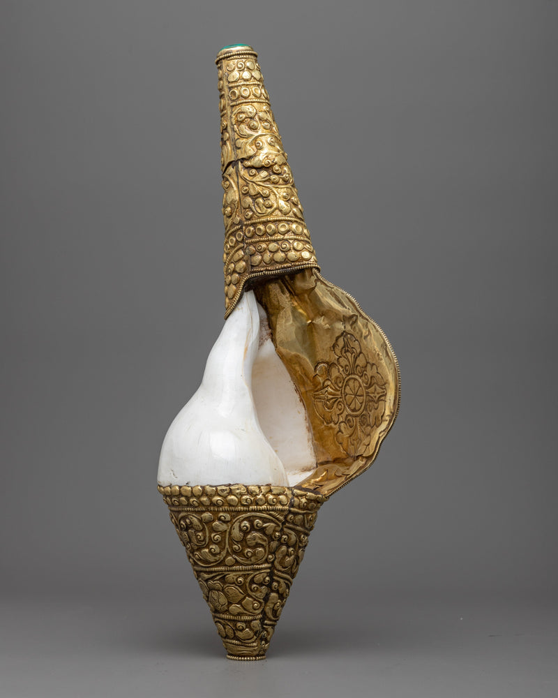 Brass Conch Shell Horn